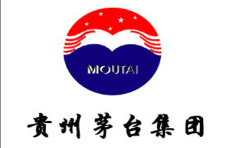 貴州茅臺集團(tuán)燃?xì)鉄崴仩t價格案例